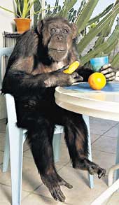 БАБУШКА ЧИТА: занесена в Книгу рекордов Гиннесса