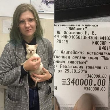 Спасенному котенку дали кличку "Золотой"
