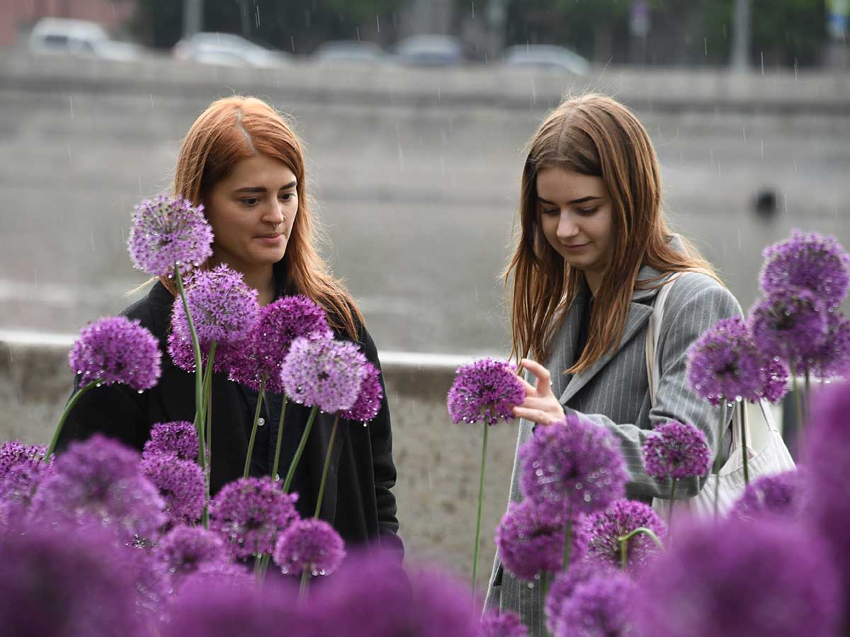 Погод в Москве на неделю: экстремальная погода сменится теплом Погода в Москве: синоптики предупредили, погода в городе будет резком меняться в лучшую сторону – EG.RU – Погода. Прогноз погоды. Погода Москва. Погода в Москве. Погода в Москве на неделю. Москва погода. Москва прогноз погоды. Москва новости