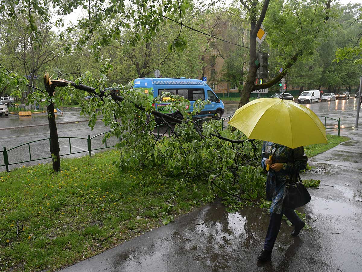 Погода в Москве: на этой неделе ожидается грозовой шквал при теплой погоде Погода в Москве: на столицу надвигаются тепло, а точку дождям поставит грозовой шквал – EG.RU – Погода. Прогноз погоды. Погода Москва. Погода в Москве. Погода в Москве на неделю. Москва погода. Москва прогноз погоды. Москва погода на неделю.