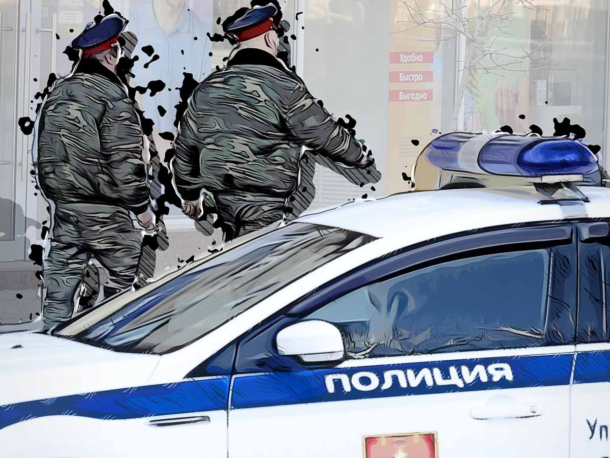 Полиция полиция