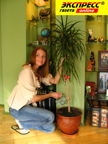 ЛЮБОВЬ ТОЛКАЛИНА