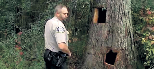 ...нужно было придумать...