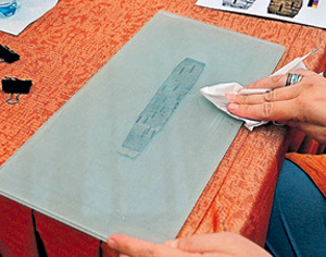 Березовые хроники. Фото Вероники ГУРИНОЙ/«КП»-Вологда»