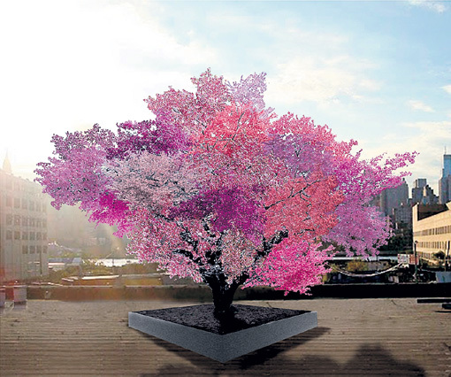 40 оттенков розового